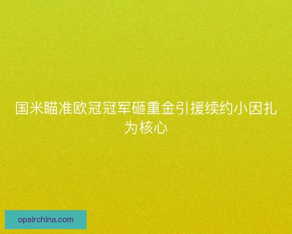 国米瞄准欧冠冠军砸重金引援续约小因扎为核心