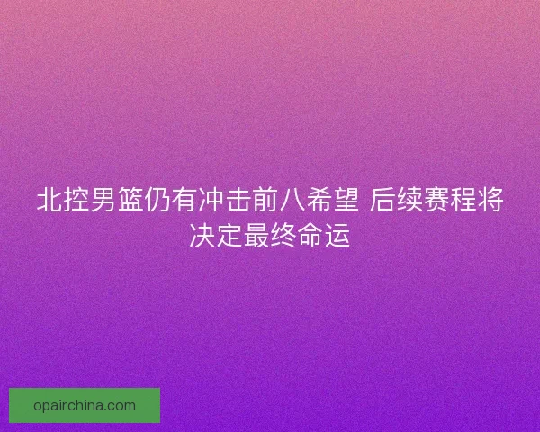 北控男篮仍有冲击前八希望 后续赛程将决定最终命运 北控男篮仍有冲击前八希望 后续赛程将决定最终命运