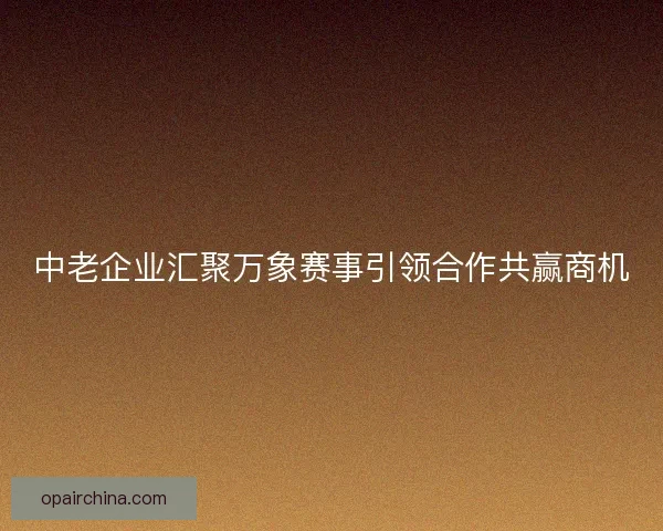 中老企业汇聚万象赛事引领合作共赢商机 中老企业汇聚万象赛事引领合作共赢商机